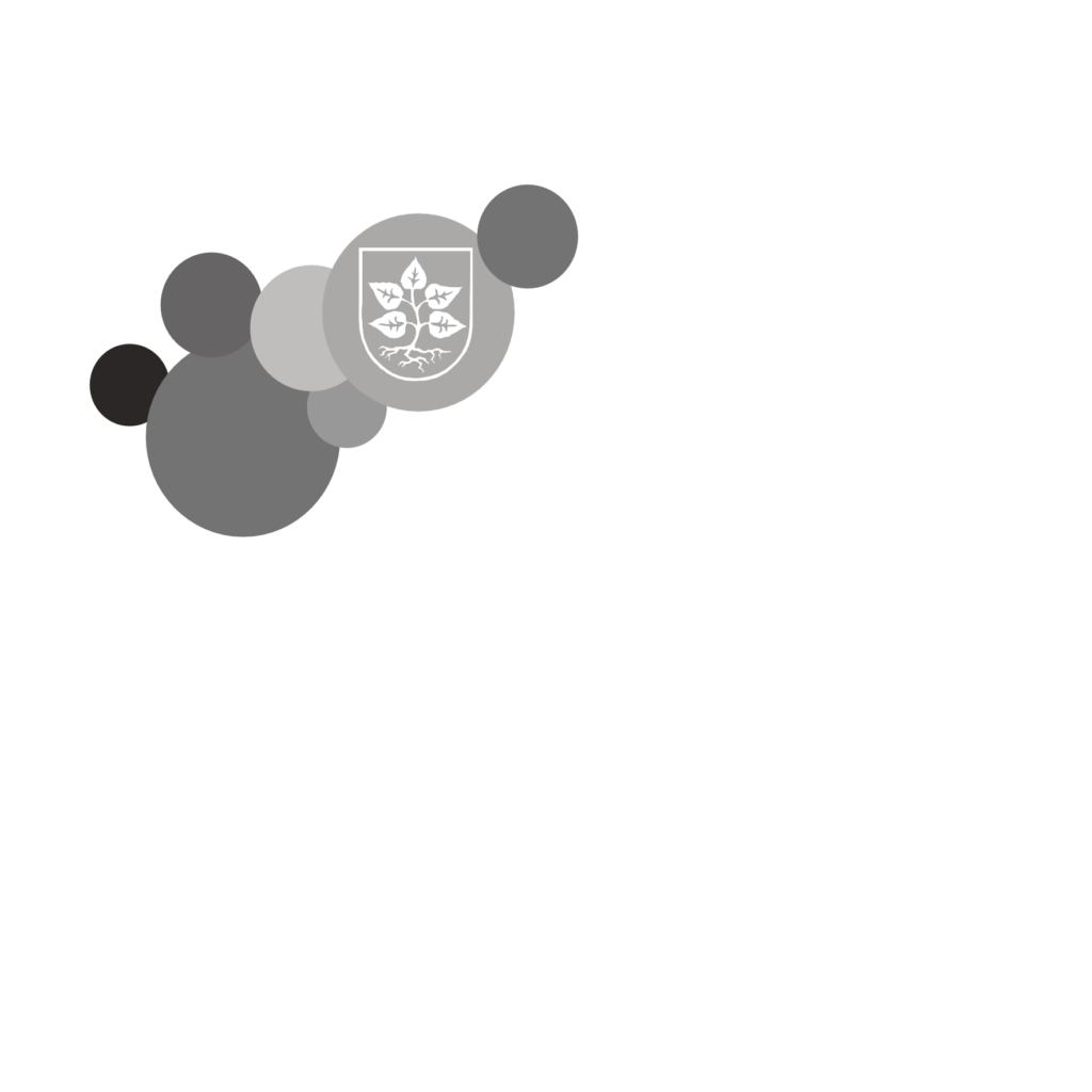 Loerzweiler.social Logo