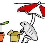 Buntstiftzeichnung. Unter einem rot-weißen Sonnenschirm sitzt ein grauer Käfer, vor sich hat er einen beigen Karton und eine Pflanze mit zwei grünen Blättern in einem orangenen Blumentopf