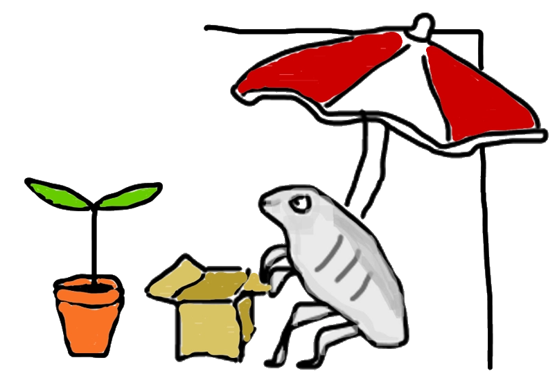 Buntstiftzeichnung. Unter einem rot-weißen Sonnenschirm sitzt ein grauer Käfer, vor sich hat er einen beigen Karton und eine Pflanze mit zwei grünen Blättern in einem orangenen Blumentopf