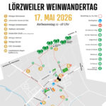 Hochformatige Infografik mit einer stilisierten Karte von Lörzweiler. Oben befinden sich ein Symbol mit Weintraube und Krone darüber sowie der Kirche. Darunter der Titel 'Lörzweiler Weinwandertag'. Darunter stehen das Datum '17. Mai 2026' und Kerbesonntag 11-18Uhr. Die Karte zeigt einen Wanderweg mit mehreren nummerierten StationenJede Station ist mit einem Namen und Symbol versehen, zum Beispiel Weingüter, Vereine und Gastronomie wie im Text des Beitrags. Rechts neben der Karte befindet sich eine Legende mit den Namen der Stationen und Symbolen für Parkplätze, Toiletten und Bushaltestellen. Unten links steht der Name 'ahoigraphics.de', unten rechts das Logo des HVV.